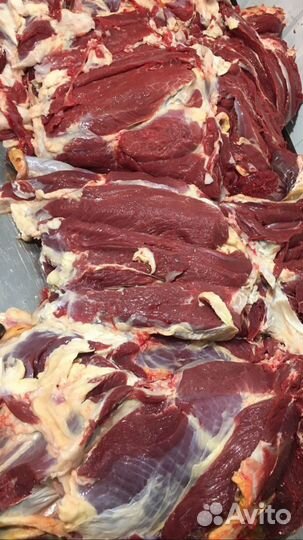 Мясо говядина оптом и в розницу
