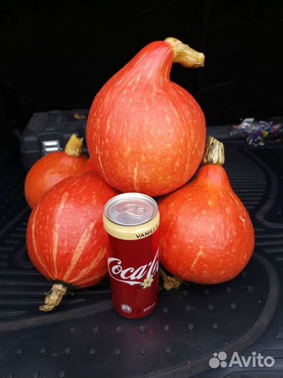 Тыква хеллоуин