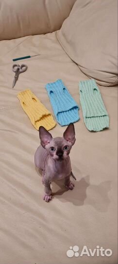 Кофта для котят