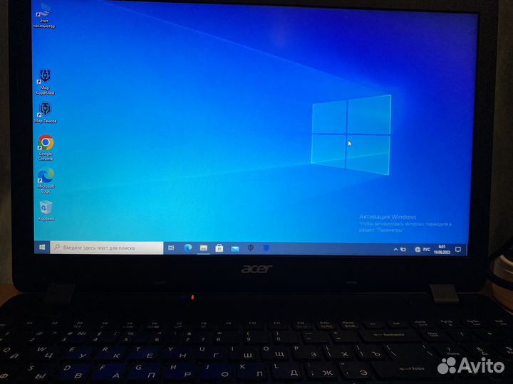 Acer extensa