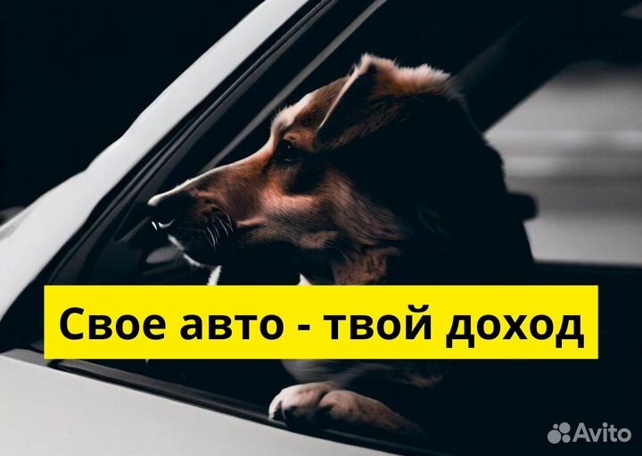Работа водителем в яндексgo на своем т/с