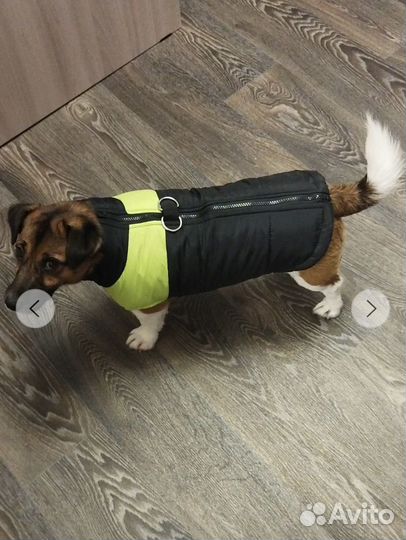 Жилетка для маленьких собак