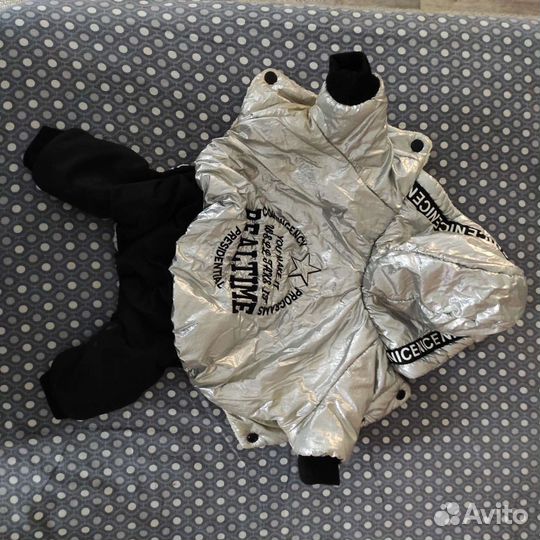 Одежда для маленьких собак