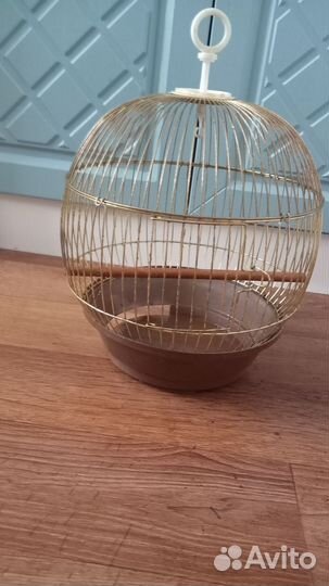 Клетка для попугая и корма для пернатых