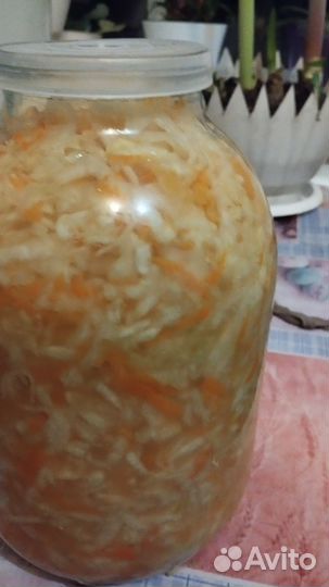 Продам жимолость