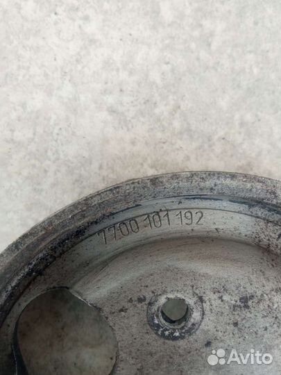 Шкив насоса гидроусилителя Renault Scenic 1 770010