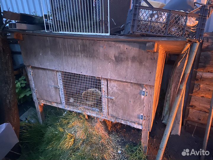 Клетки для кроликов