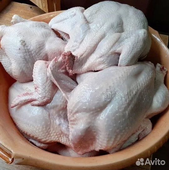 Мясо бройлера домашнее