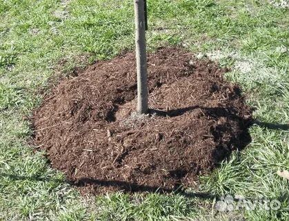 Растительный грунт для кустарников и деревьев