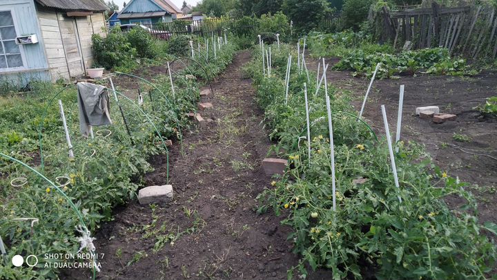 Дача 18 м² на участке 6 сот.