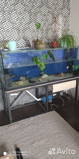 Аквариум 500 литров