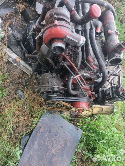Двигатель от быка д245