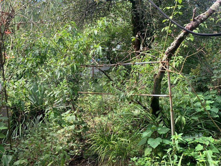 Участок 11,5 сот. (ИЖС)