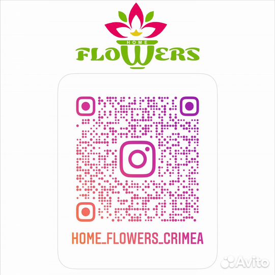 Кофейное дерево