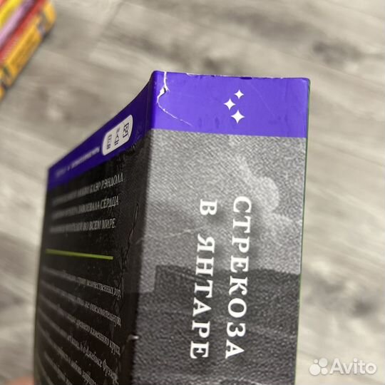 Чужестранка и Стрекоза в янтаре