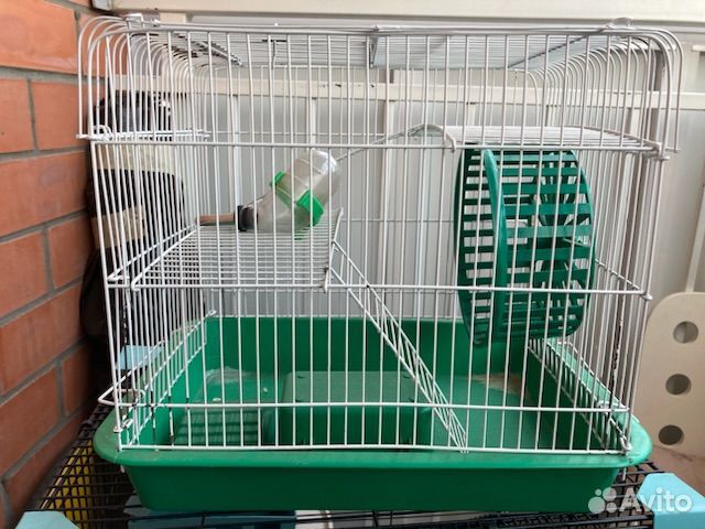 Клетка для хомяка бу
