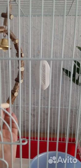 Клетка для волнистого попугая