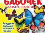 Франшиза Выставки Живых Тропических Бабочек