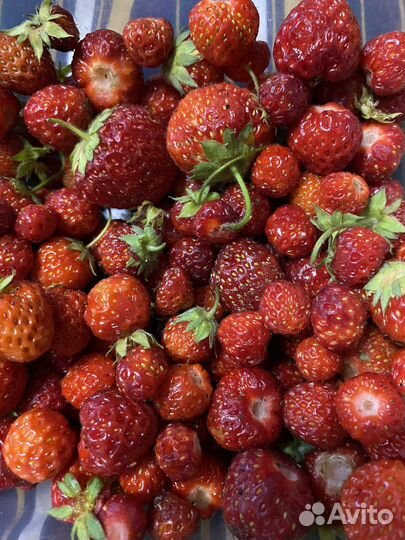 Варенье земляника, малина, клубника