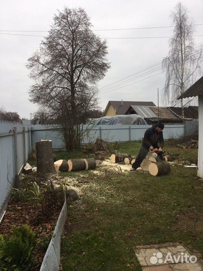 Спил аварийных Деревьев