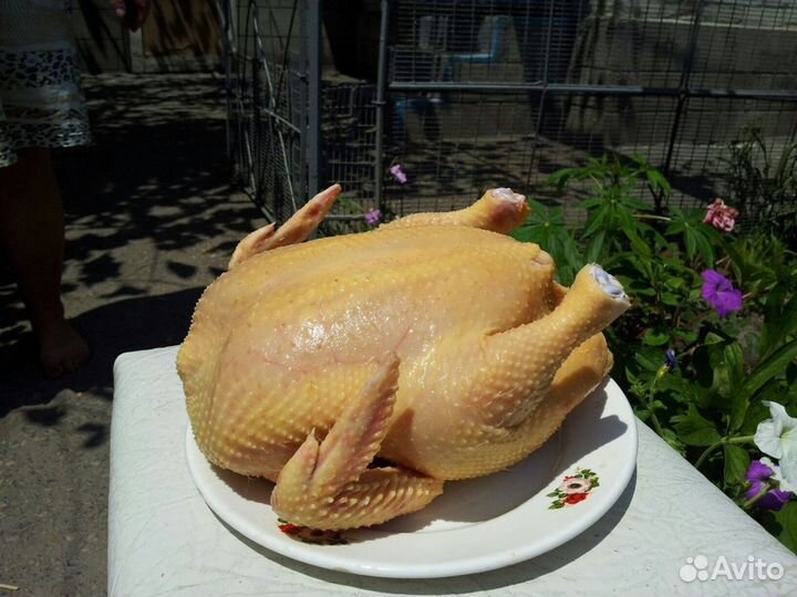 Куры бройлеры от производителя