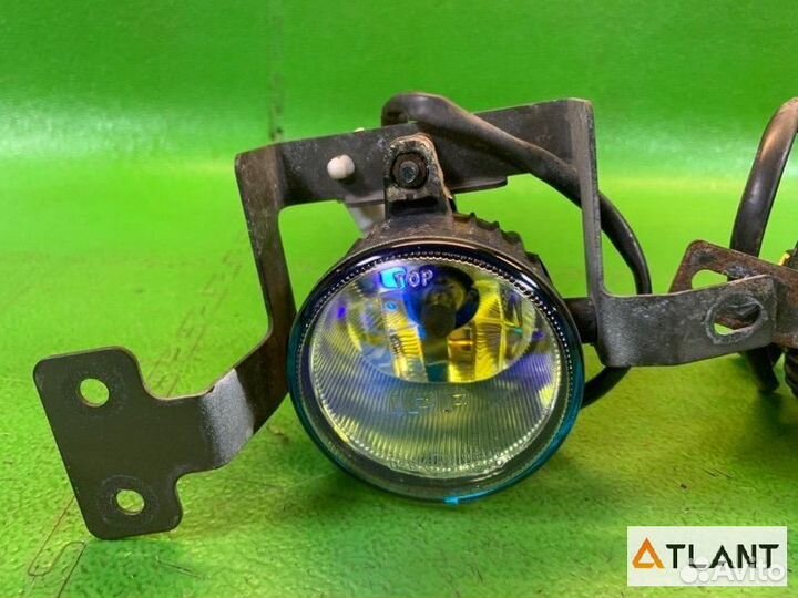 Туманка передняя nissan march