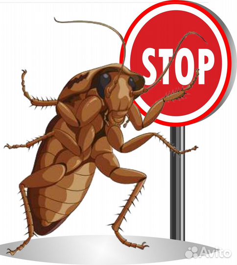 Дезинсекция/Уничтожение тараканов, блох, клопов