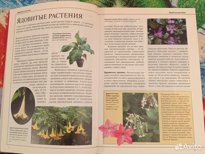 Энциклопедия