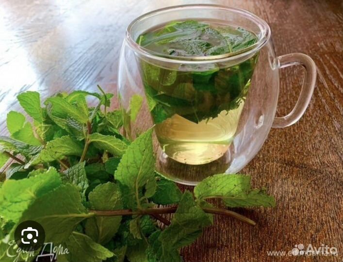 Мята на срез