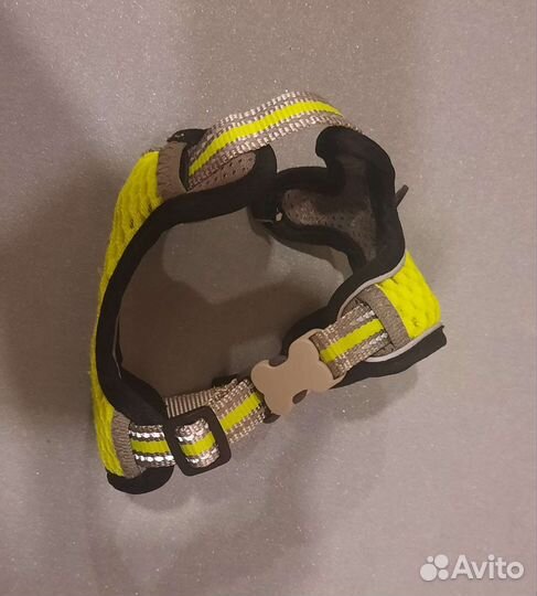 Шлейка для маленькой собаки