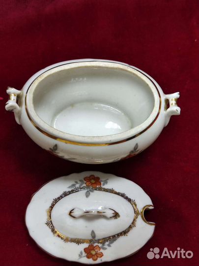 Горцичница