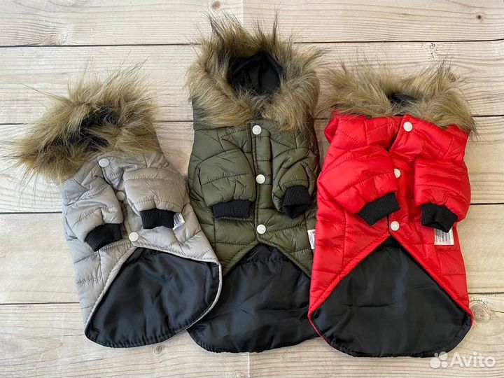 Одежда для маленьких собак и кошек, суриката