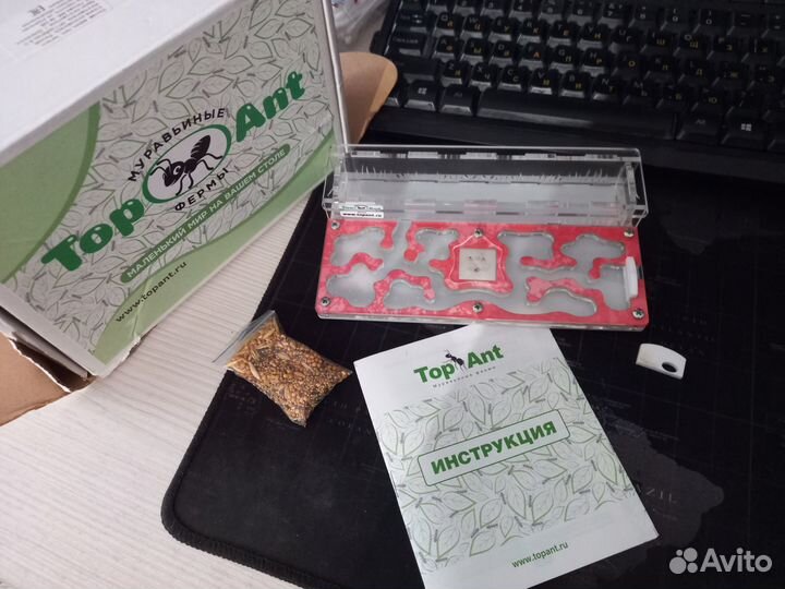 Муравьиная ферма (фармикарий)