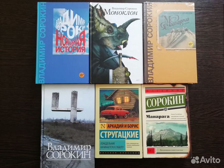 Российская проза- Сорокин Владимир