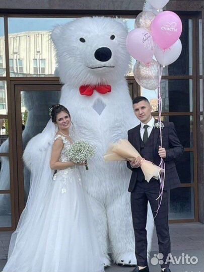 Белый медведь поздравление в Туле