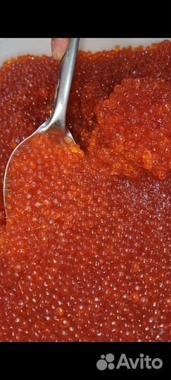 Красная икра кеты 2023