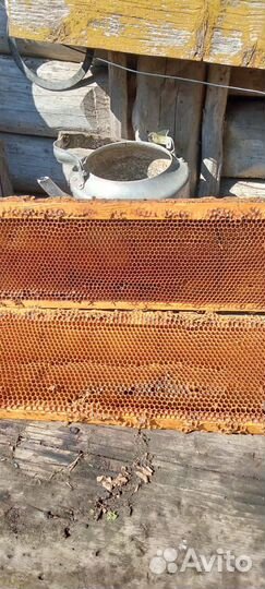 Рамки с сушью