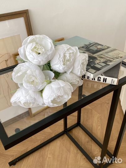 Декоративные цветы пионы