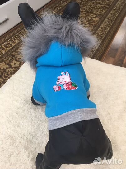 Одежда для собак