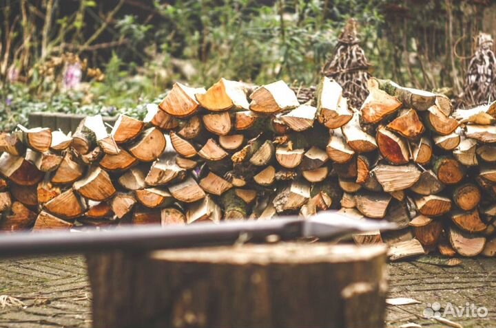 Дрова сегодня