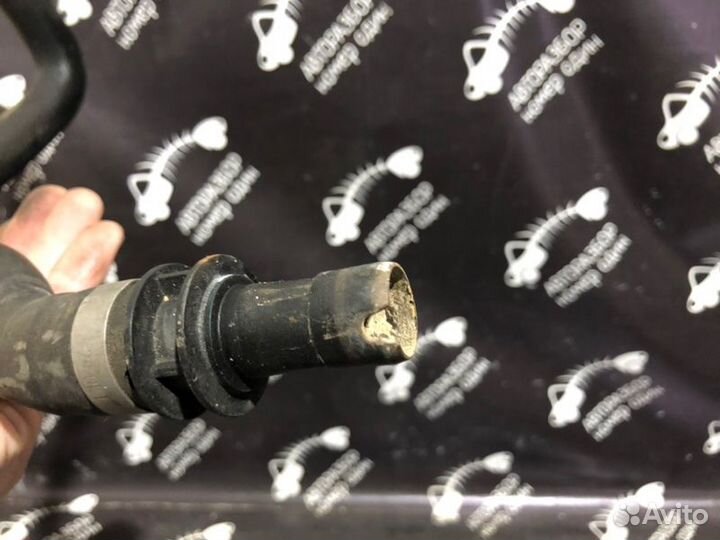 Патрубок охлаждения Ford Focus 3 хетчбэк 1 2011