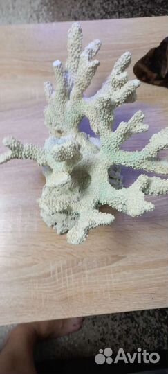 Декорации для аквариума