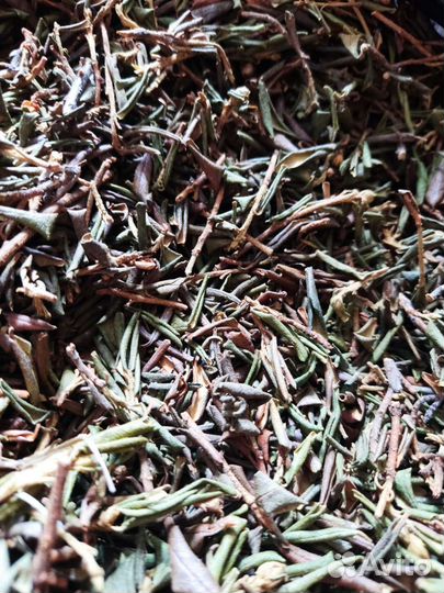 Саган-дайля