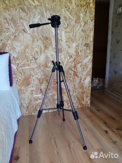 Штатив