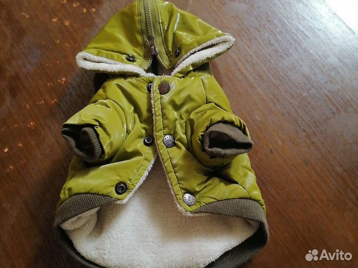 Куртка зимняя на маленькую собаку, до 1 года