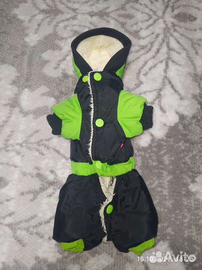 Одежда для маленьких собак