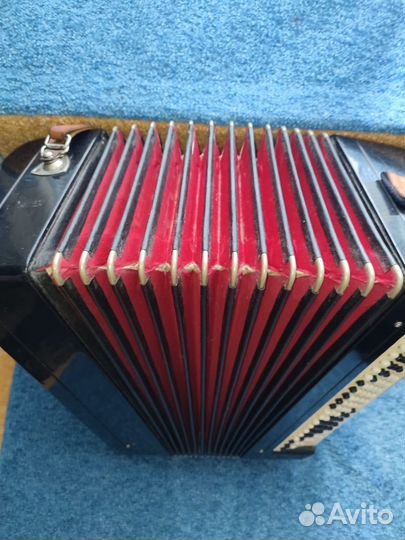 Баян тульский