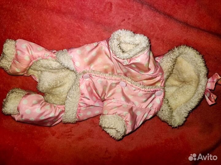 Одежда для собачки