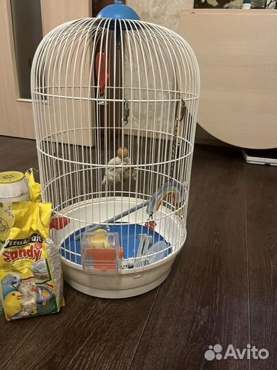 Клетка для попугая