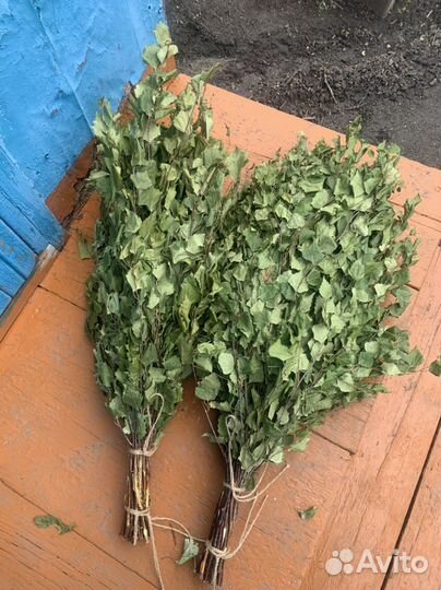 Березовые веники